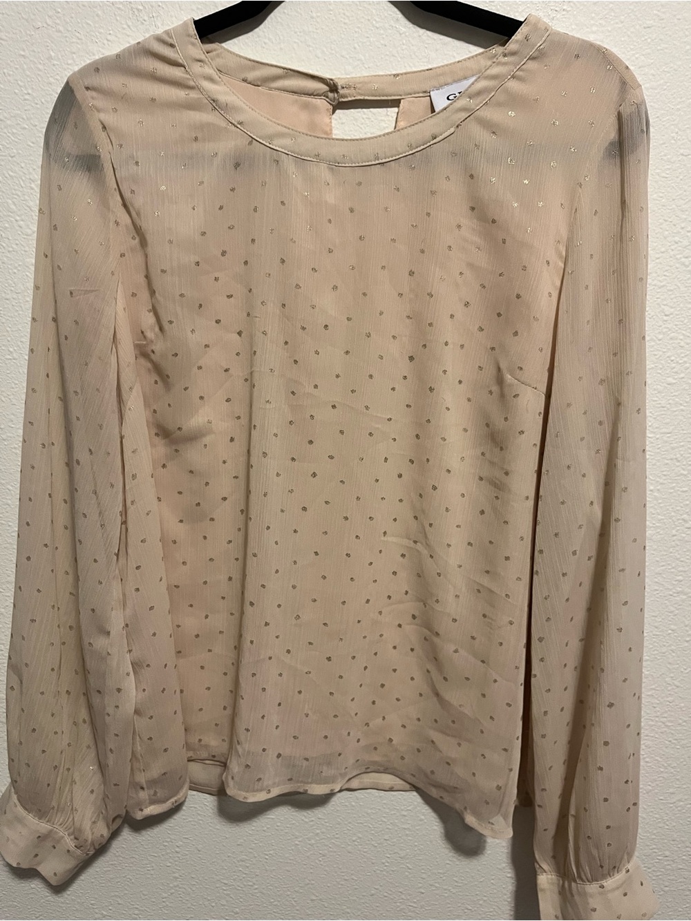 Gilli Beige Sheer Blouse with Metallic Dot Accent
